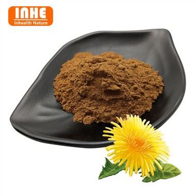 Dandelion Extract Powder